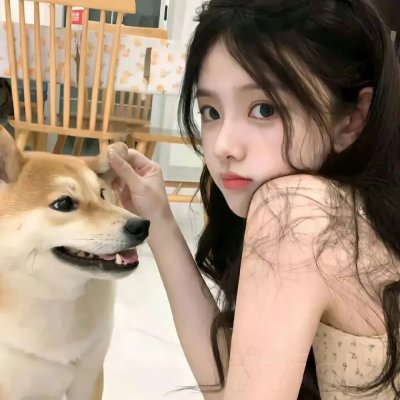 芝加哥警署第一季